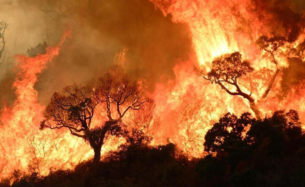 In fiamme le campagne tra Ottana e Orani