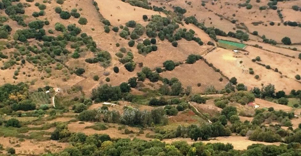 Strade rurali: chi le utilizza deve sistemarle 