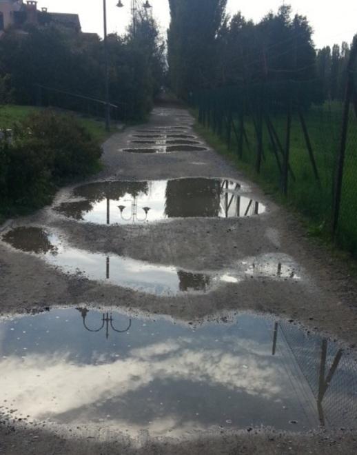 Parco Ducale in subbuglio «Sporcizia e pozzanghere» 
