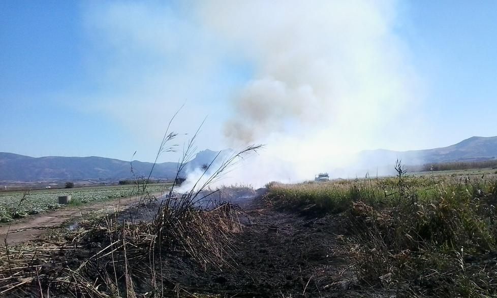 In fiamme un canneto sull’argine
