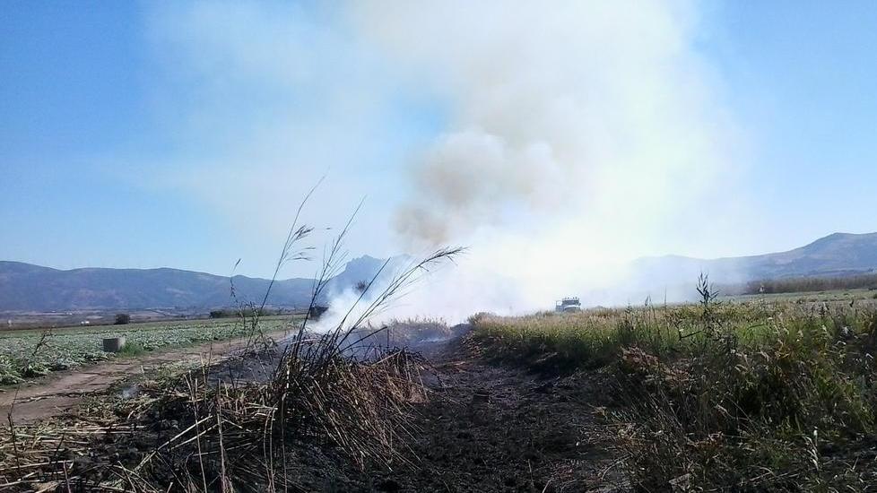 In fiamme un canneto sull’argine