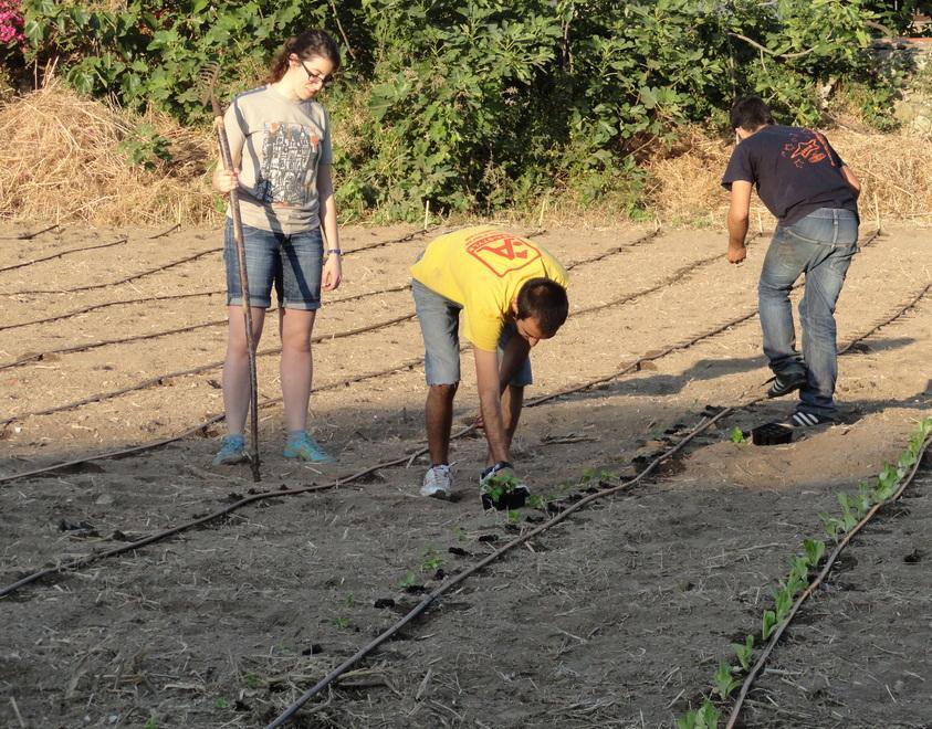 Un orto urbano al servizio di alunni e mensa Caritas 