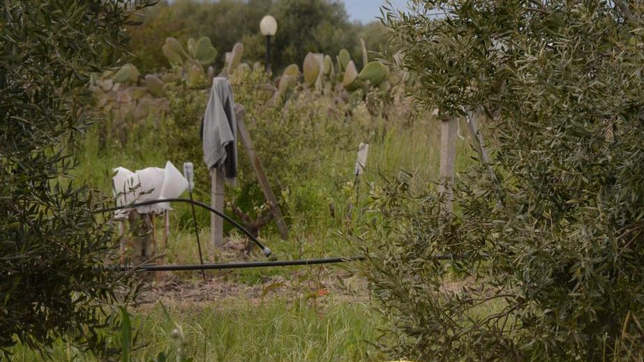 Piegata dalla crisi imprenditrice si suicida