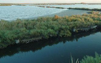 Il parco del Delta prepara i documenti per il Mab Unesco 