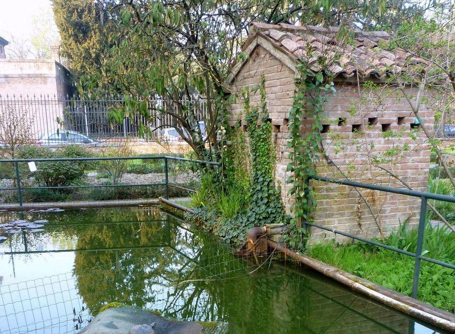 Romantico, innanzi tutto botanico Un tour nell’Orto universitario 