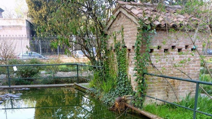 Romantico, innanzi tutto botanico Un tour nell’Orto universitario