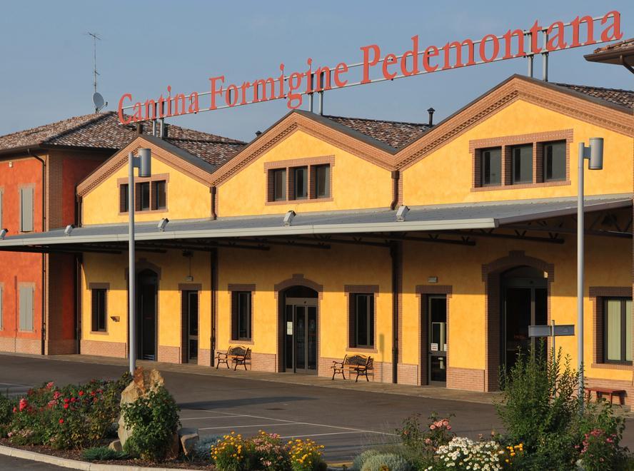 Cantina Pedemontana, una buona annata 