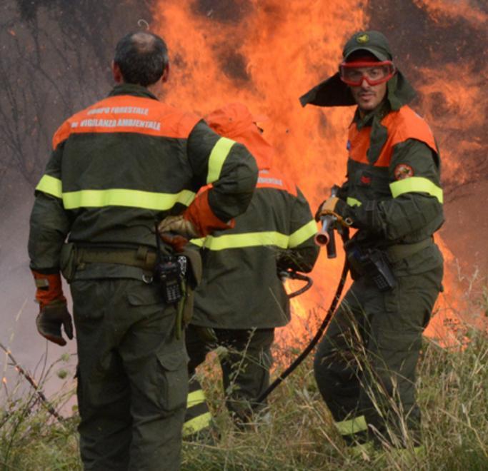 Roghi ovunque, decine di focolai per tutta la notte