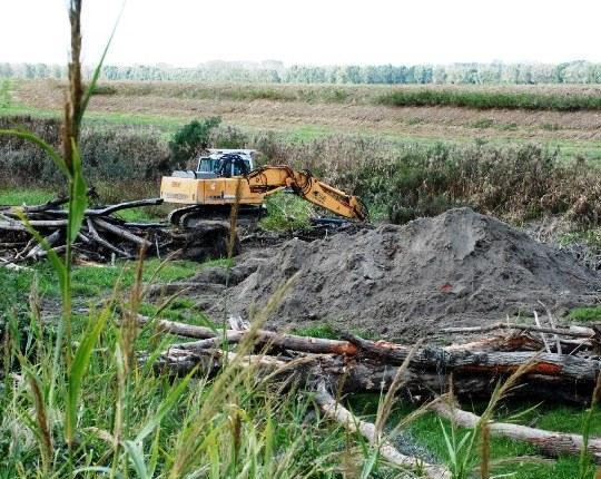 L’Idice è stato liberato dai tronchi 