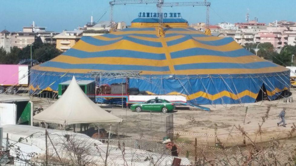 Sassari, ispezione al circo Karoli per presunti maltrattamenti sugli animali 