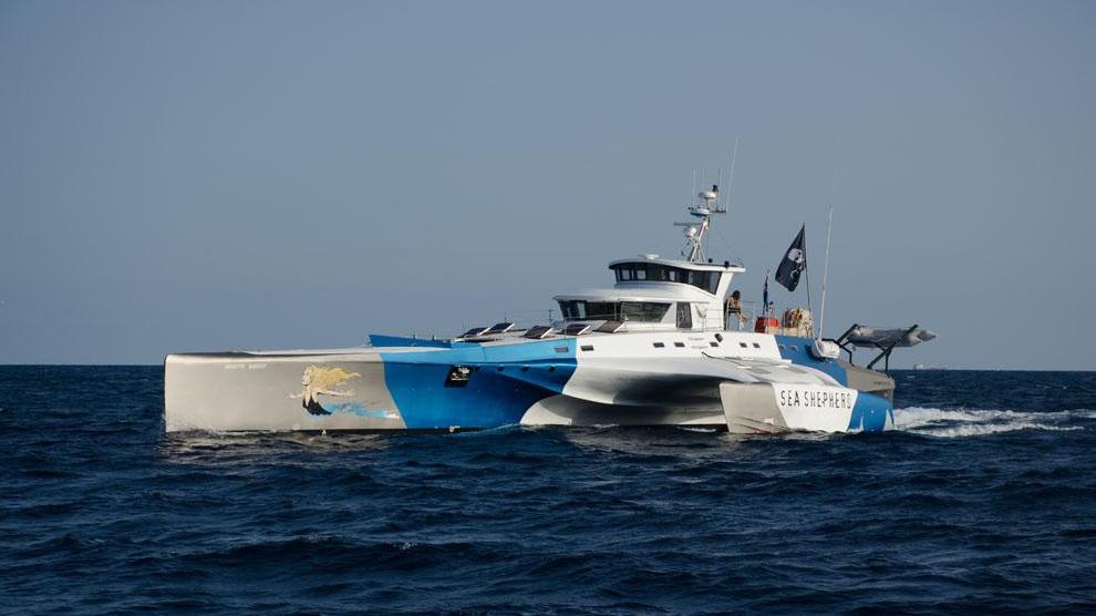 Il trimarano "Brigitte Bardot" dell'organizzazione Sea Shepherd Global