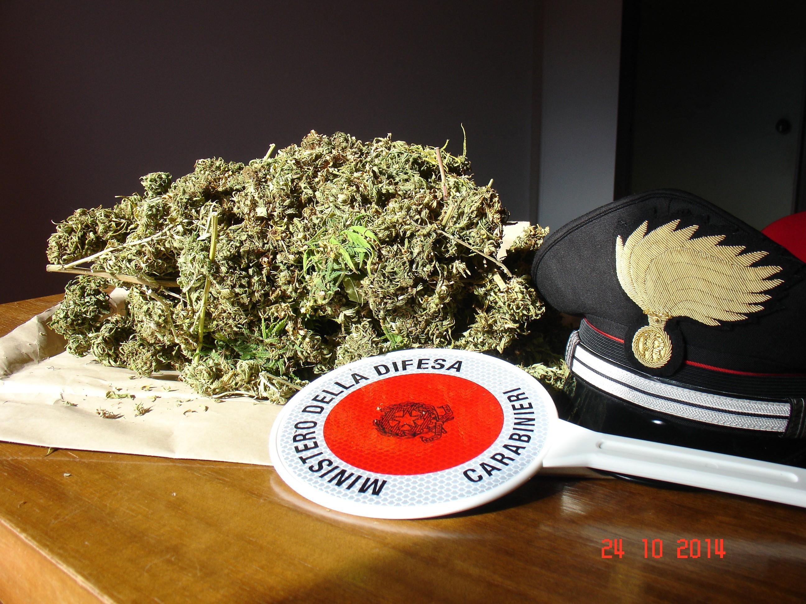 La droga sequestrata
