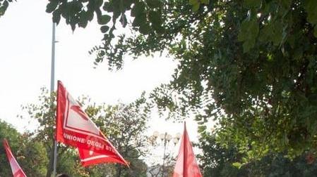 «Scuola di Renzi», confronto col sottosegretario