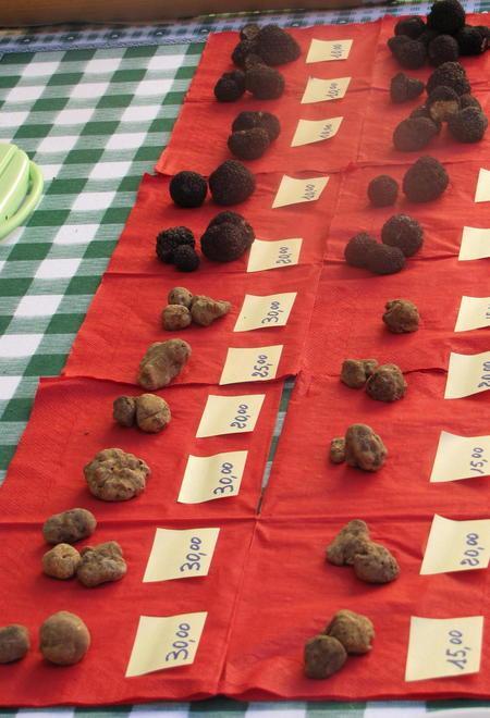 Tartufo: due fine settimana dedicati al re della tavola 