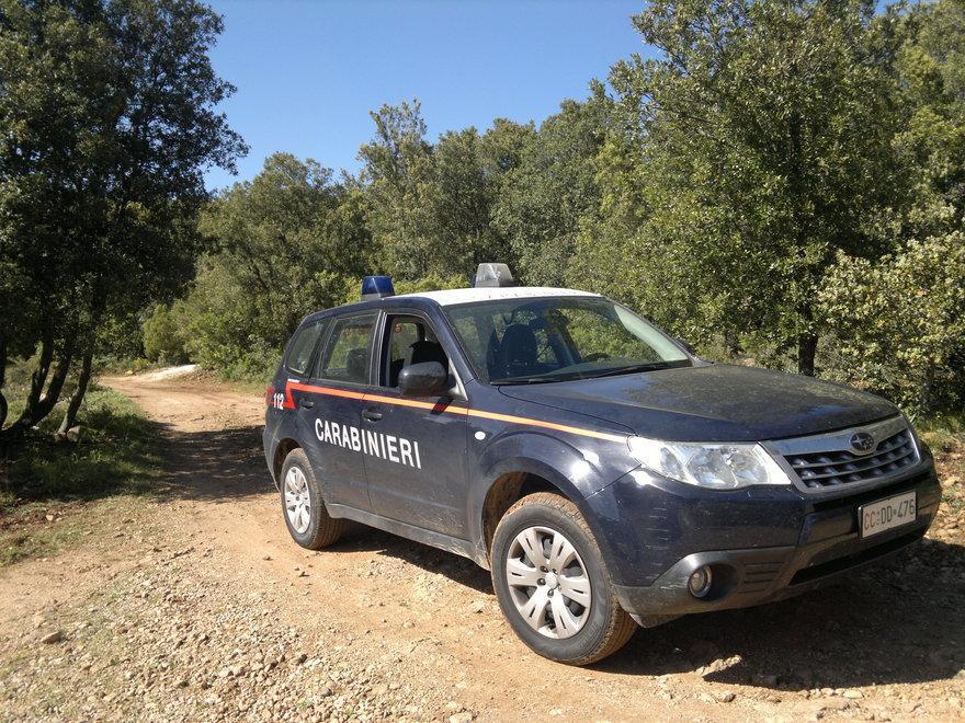 Sorpresi con un cinghiale dentro l’auto, arrestati due bracconieri 
