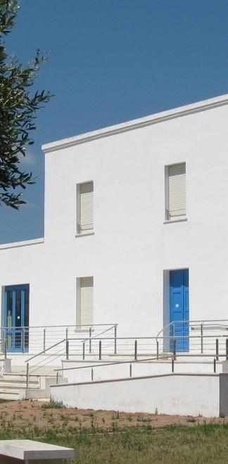 Invasione di formiche alle medie 