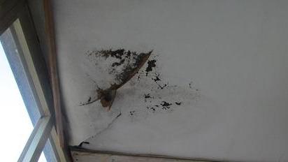 «Invasi dalla muffa, cadono i cornicioni»