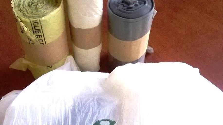 Sacchetti dei rifiuti di Area