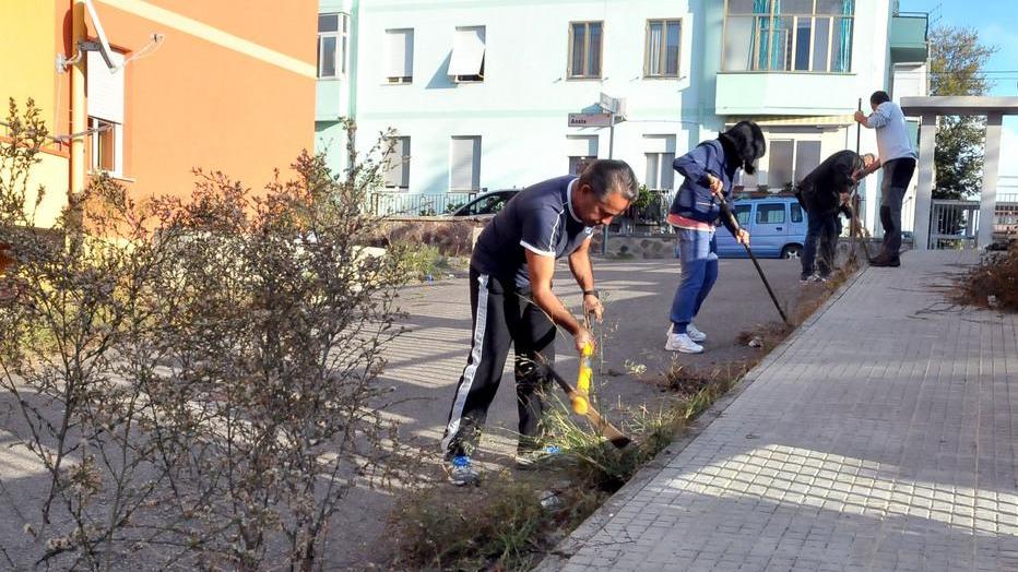 Pale e rastrelli: i genitori puliscono la via
