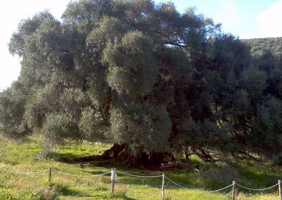 Acit Olbia, ciclo di cinque escursioni guidate nel territorio gallurese