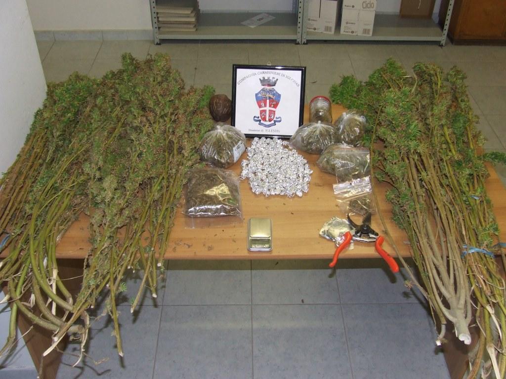 Le piante di cannabis e le altre foglie trovate dai carabinieri in casa del 38enne arrestato
