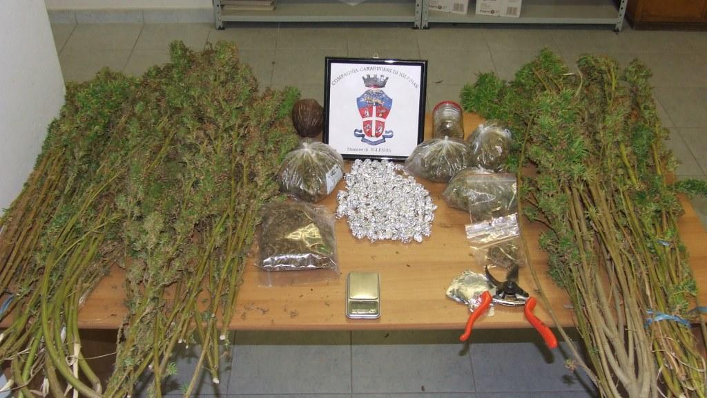 Le piante di cannabis e le altre foglie trovate dai carabinieri in casa del 38enne arrestato