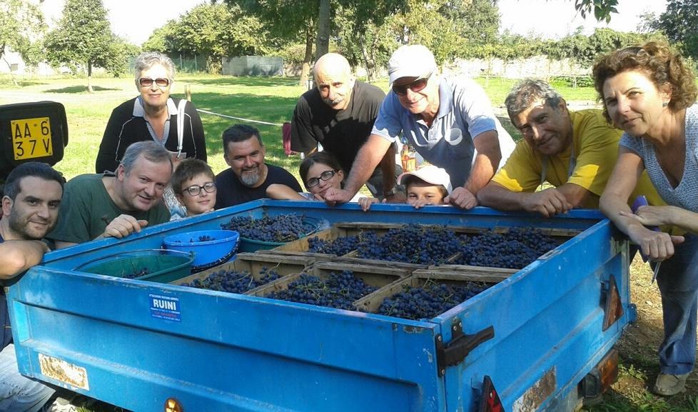 Dai vitigni storici un Lambrusco ducale 