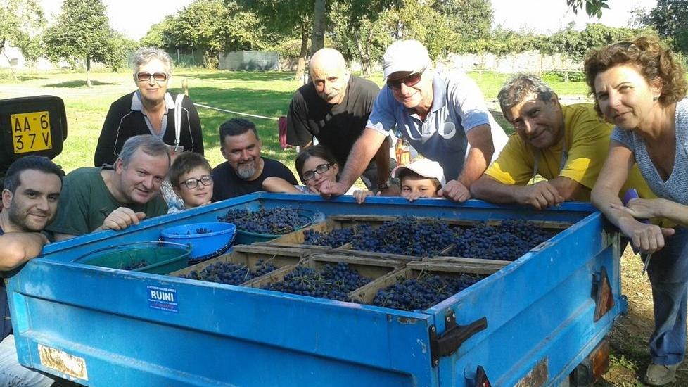 Dai vitigni storici un Lambrusco ducale