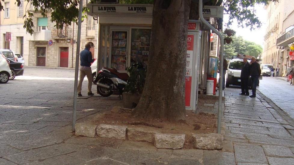 Aiuole e vicoli abbandonati: il decoro urbano che non c’è