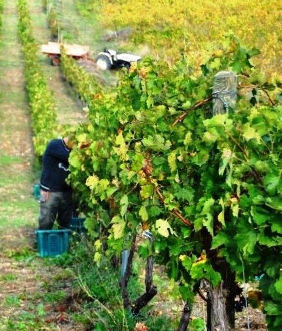 Sindia, incontri sulla politica agricola 