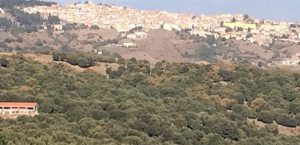 Nell’ex Colonia un punto di aggregazione 