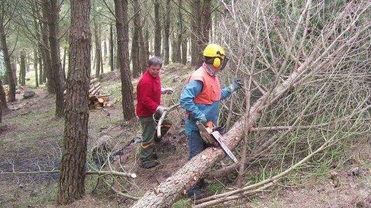 Ente foreste, gravi carenze di organico