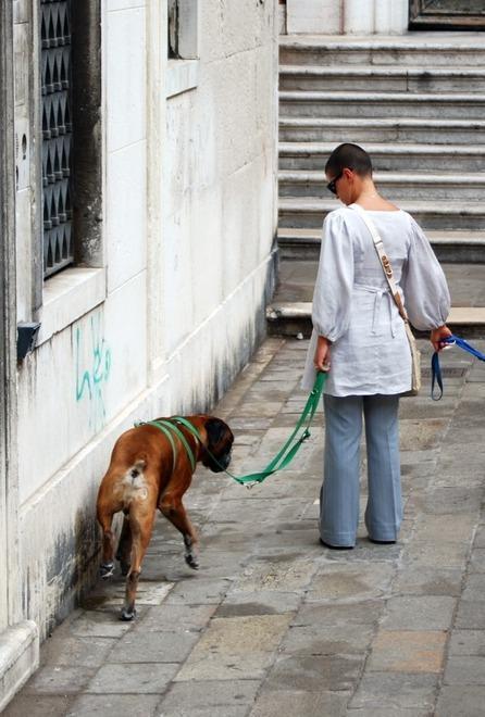 Cani a passeggio, vademecum del Comune per i padroni