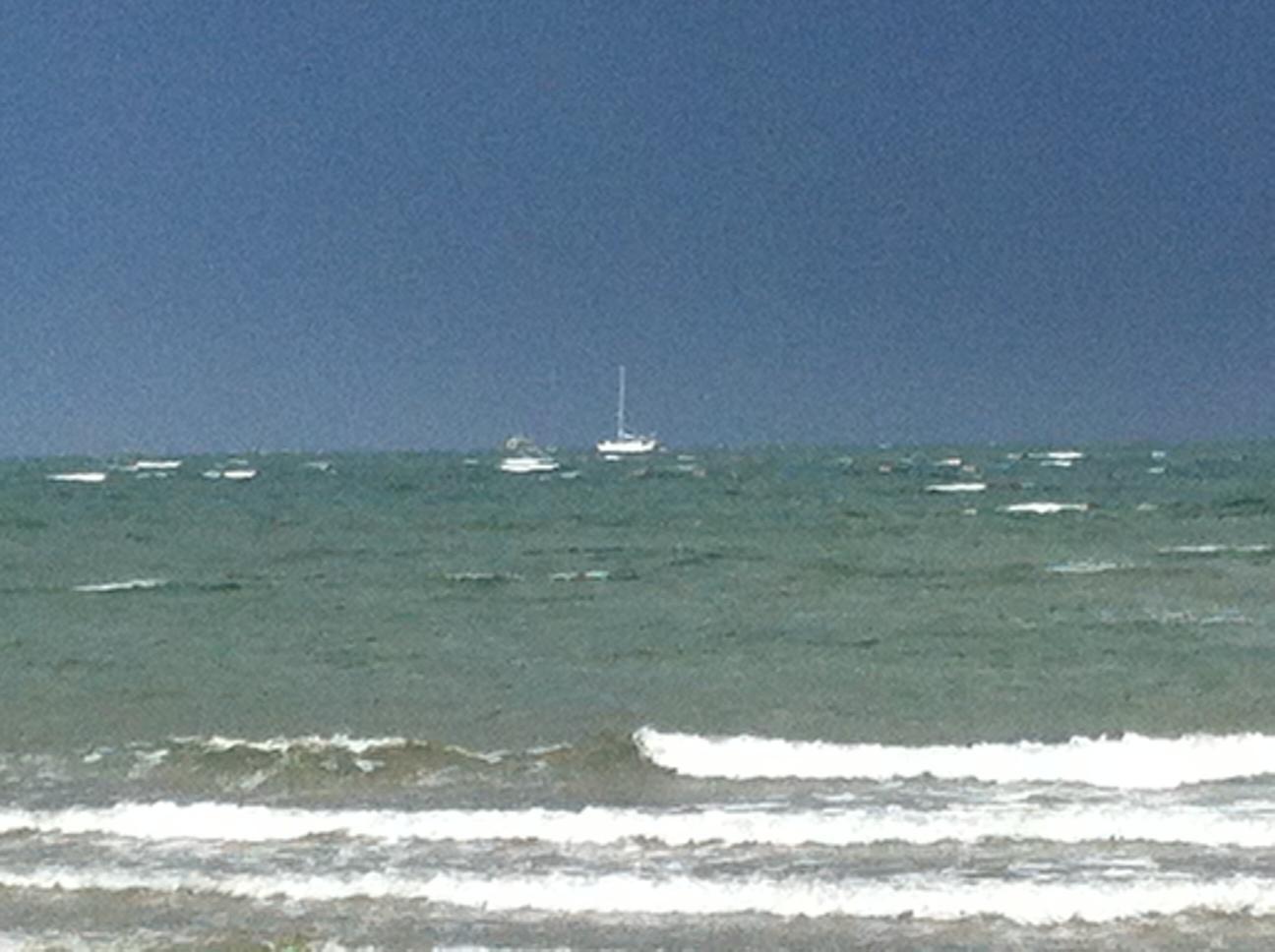 Mare