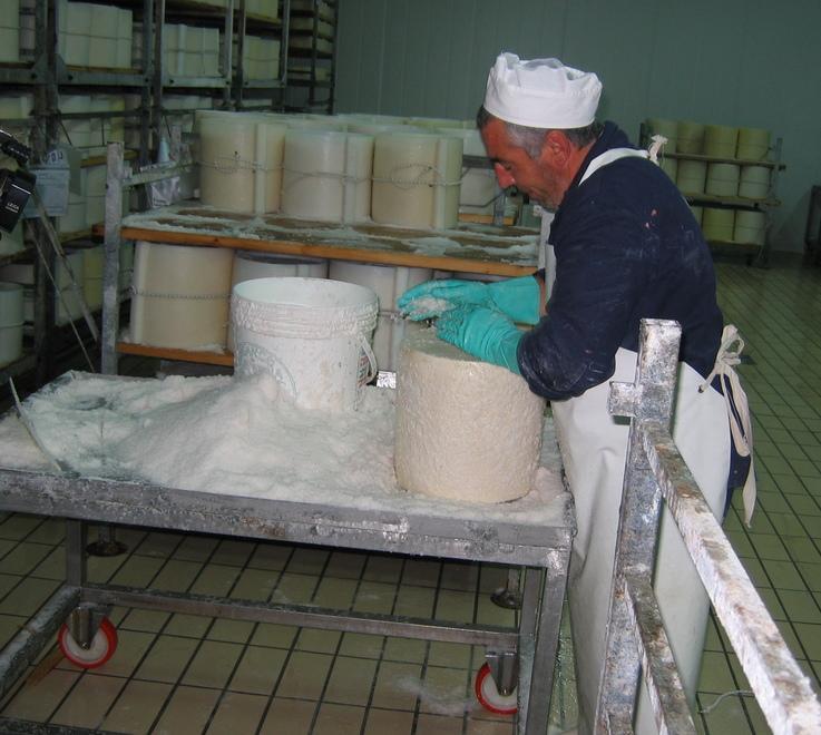 «Prezzo record del Pecorino ora si adegui quello del latte» 