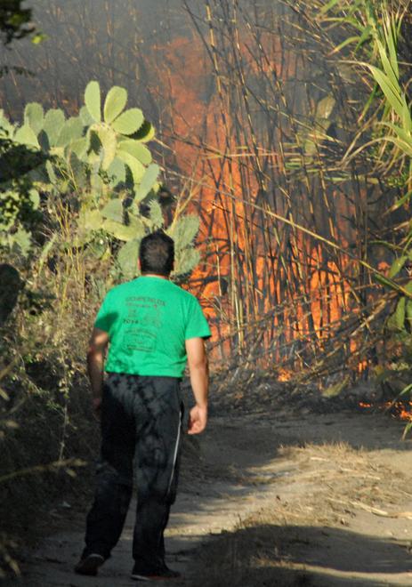 Abbruciamenti e scirocco, oltre quaranta incendi 
