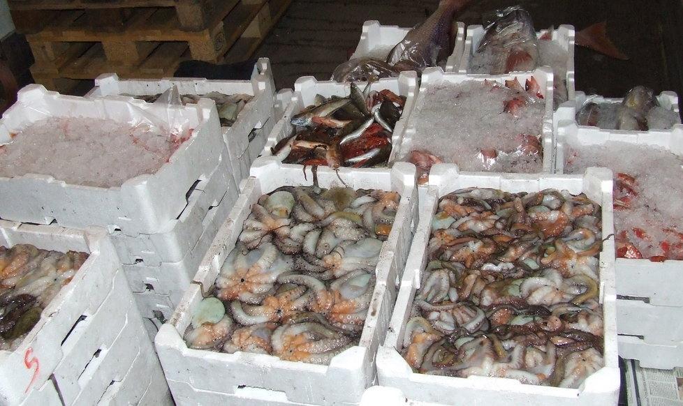 Capitaneria, sequestrati 100 chili di pesce mal conservato