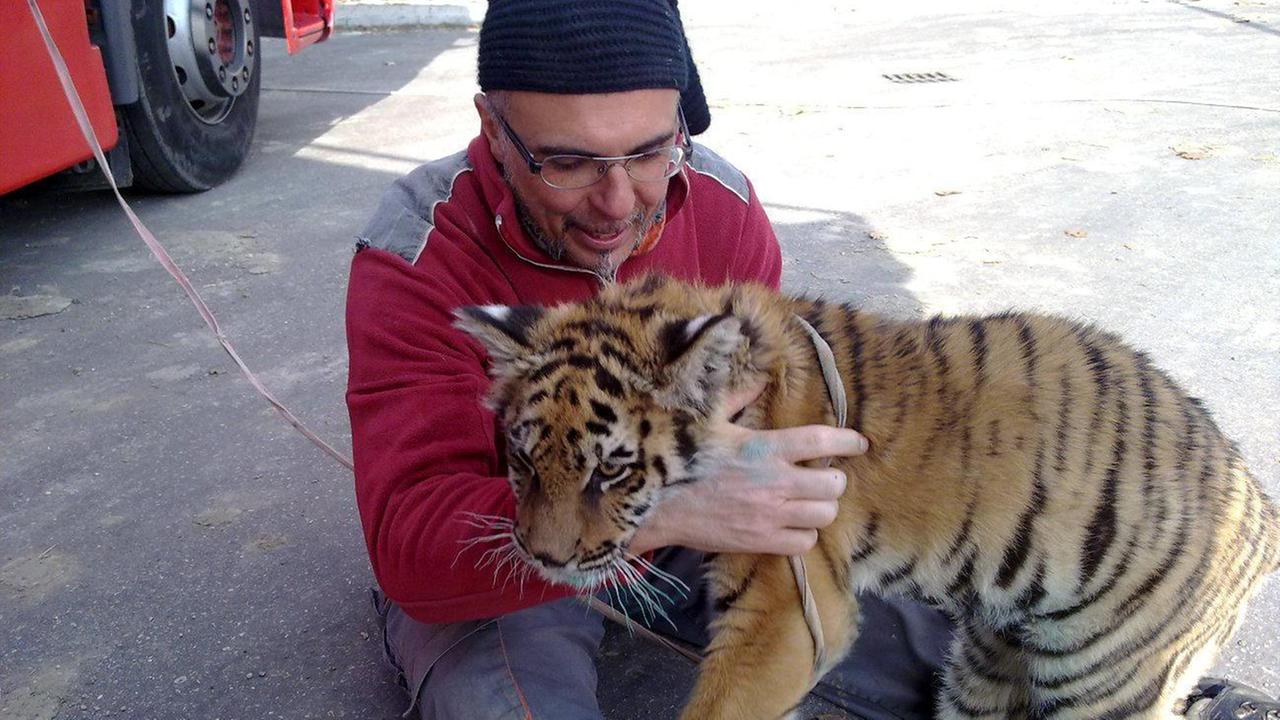 Il Tar riporta gli animali esotici nei circhi di Modena
