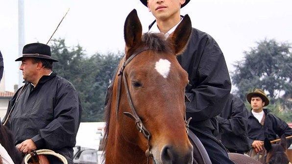 Il mondo equestre in passerella a Fieracavalli