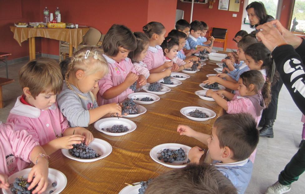 I piccoli alunni vignaioli nella fattoria didattica