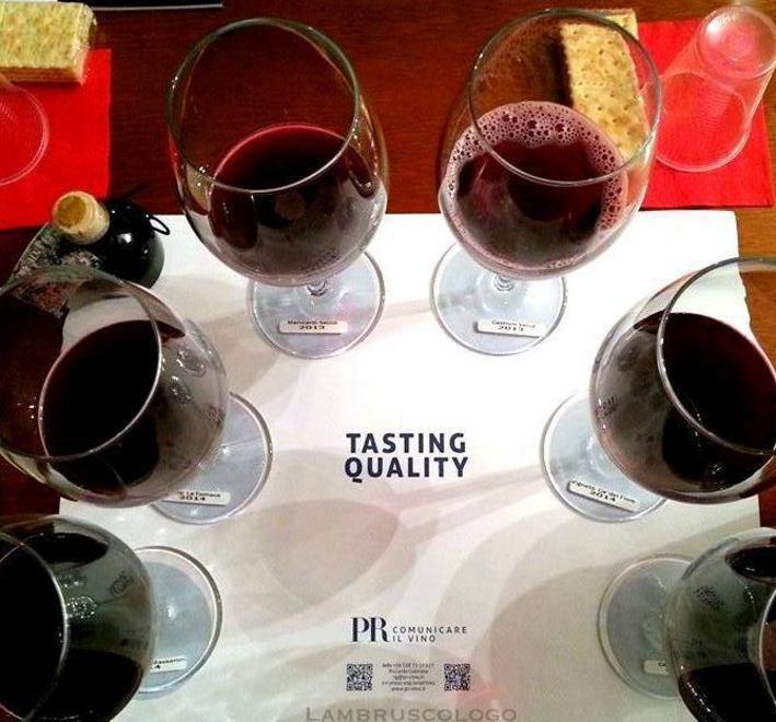 Se il sole bacia i vigneti dei Manicardi