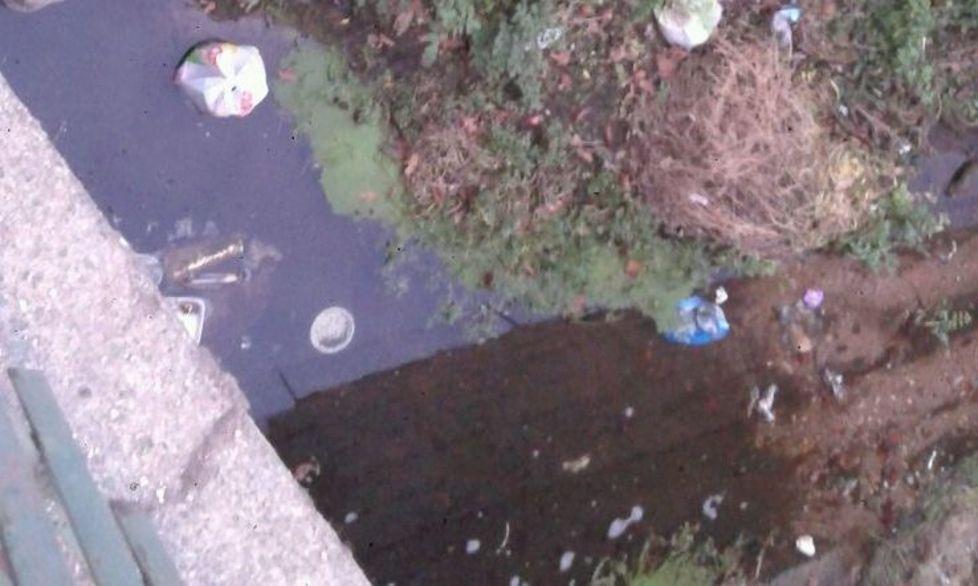 Il canale ricoperto di erbacce e rifiuti