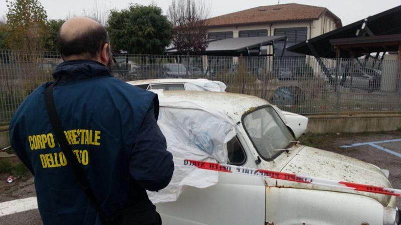 Le carcasse sequestrate