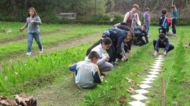 L’orto in classe, i bambini imparano dagli agricoltori