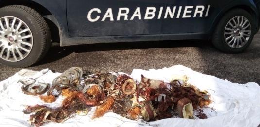 In casa un market di pezzi di ricambio 