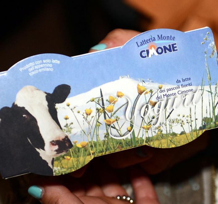 Dall’Appennino yogurth e mirtilli senza additivi