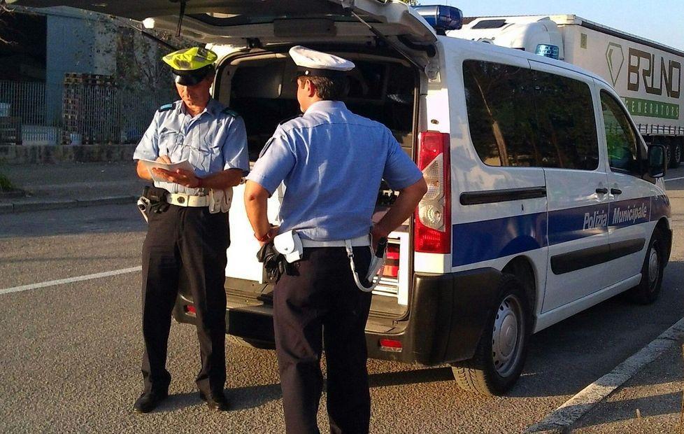 Un setter salvato dopo l’incidente 