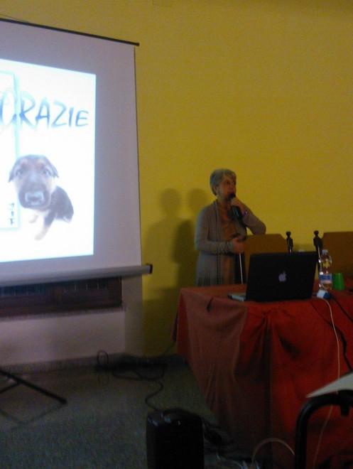 Cure palliative, aiuto diverso per i malati 