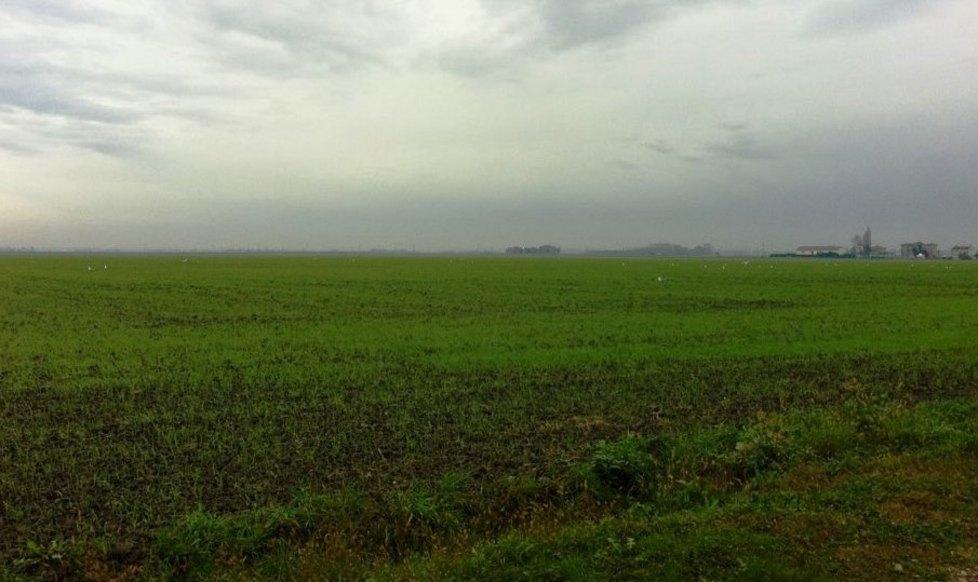 «La Sbtf fiore all’occhiello dell’agricoltura italiana» 