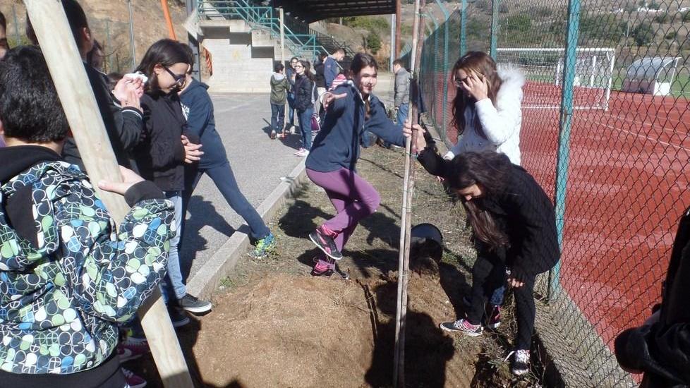 Piantati nuovi alberi in segno di speranza